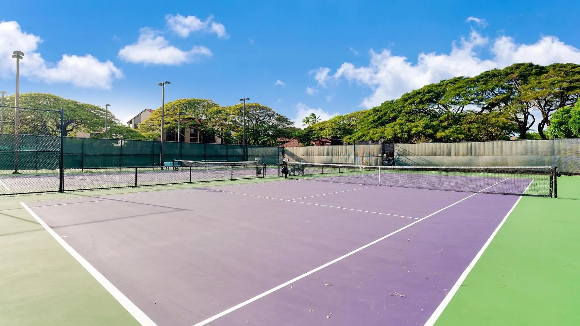 Papakea B110 Villa Kahana 0*,